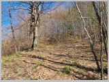 Slika_013.webp