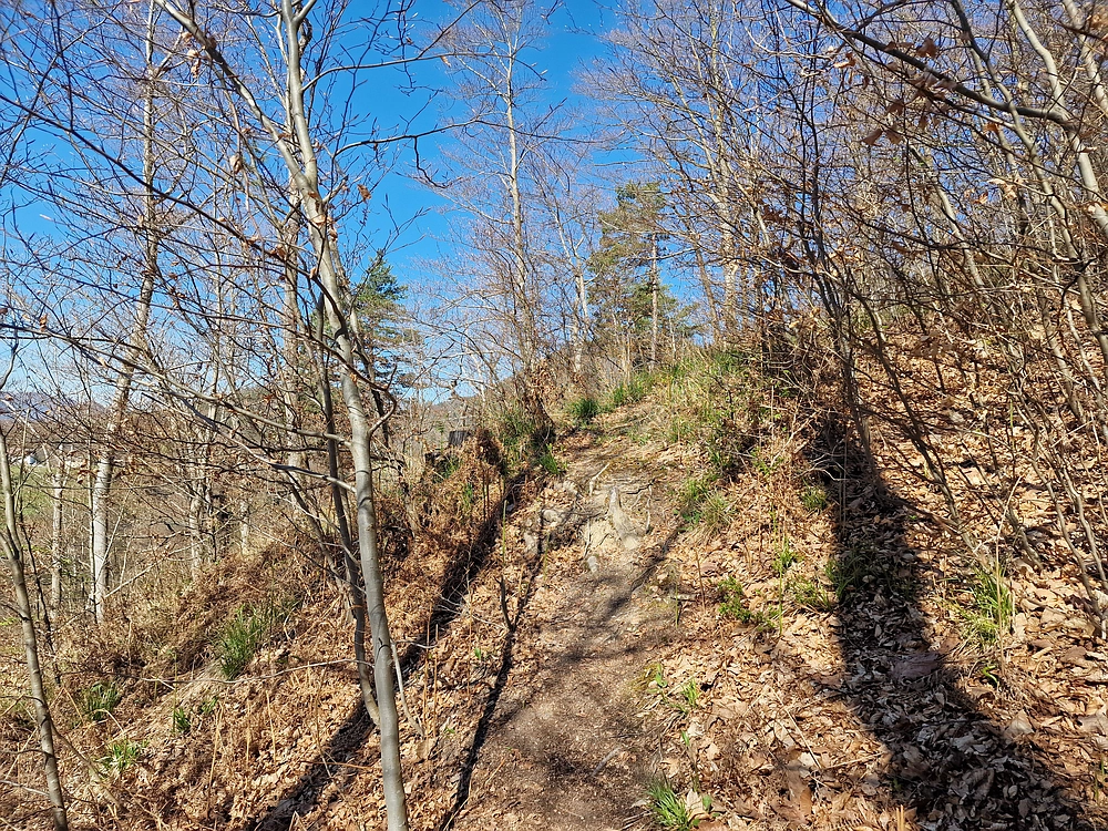 Tabor, 5. 4. 2026