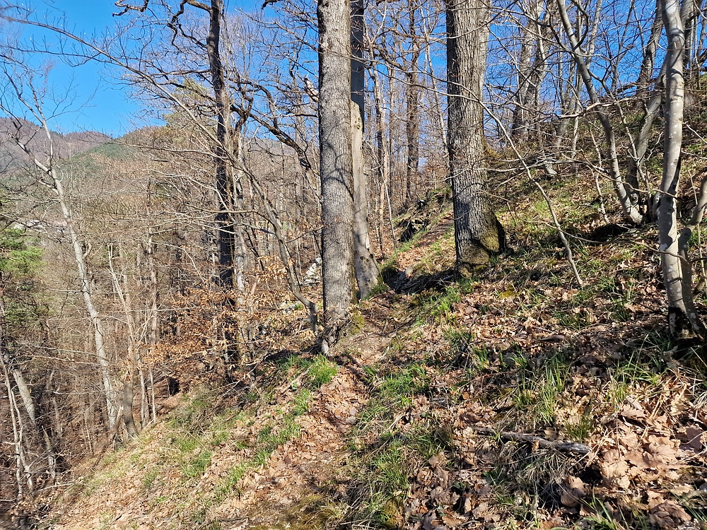 Tabor, 5. 4. 2026