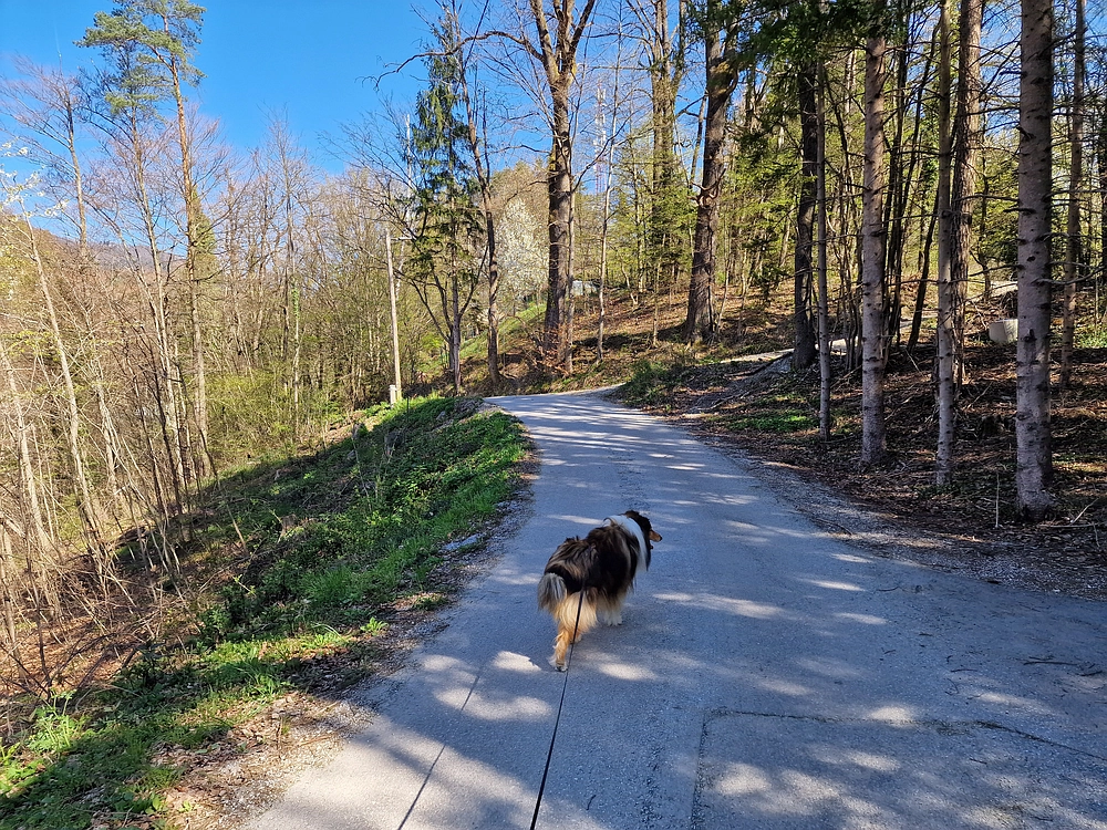 Tabor, 5. 4. 2026