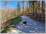 Slika_017.webp