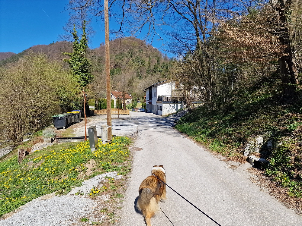 Tabor, 5. 4. 2026