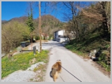 Slika_018.webp