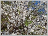 Slika_022.webp