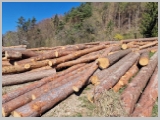 Slika_023.webp