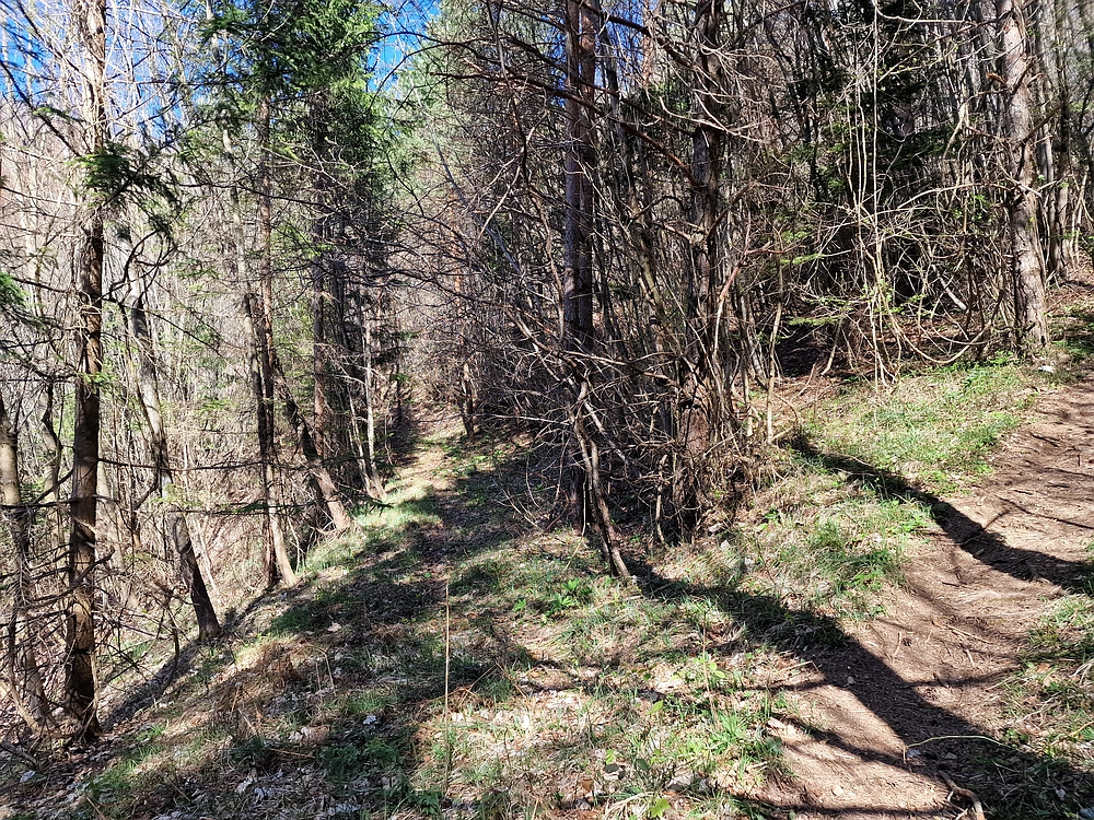 Tabor, 5. 4. 2026