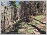 Slika_027.webp