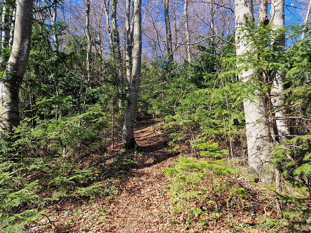 Tabor, 5. 4. 2026