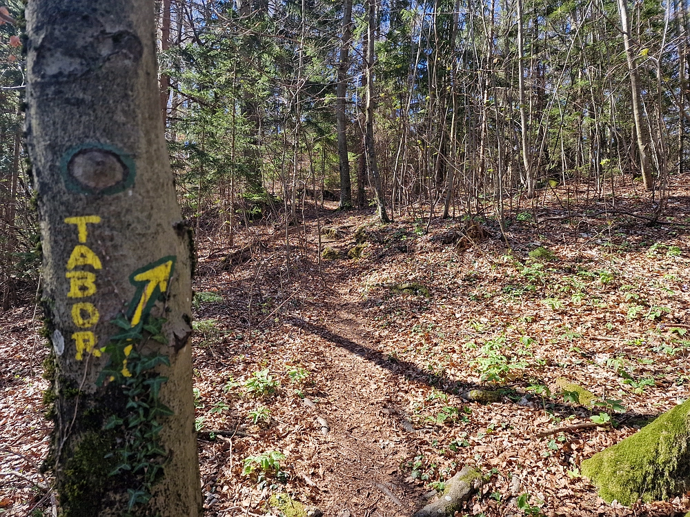 Tabor, 5. 4. 2026