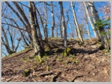 Slika_032.webp