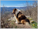 Slika_036.webp