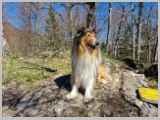 Slika_038.webp