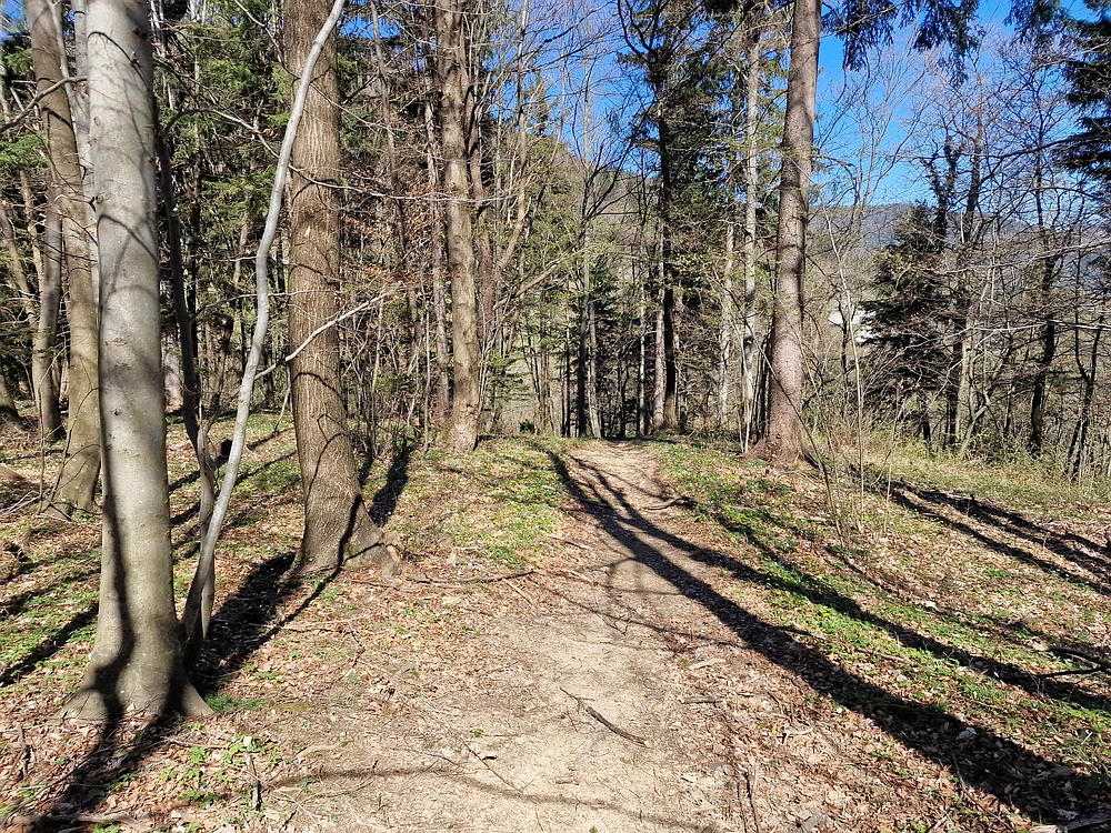 Tabor, 5. 4. 2026