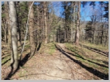Slika_046.webp