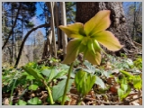 Slika_047.webp