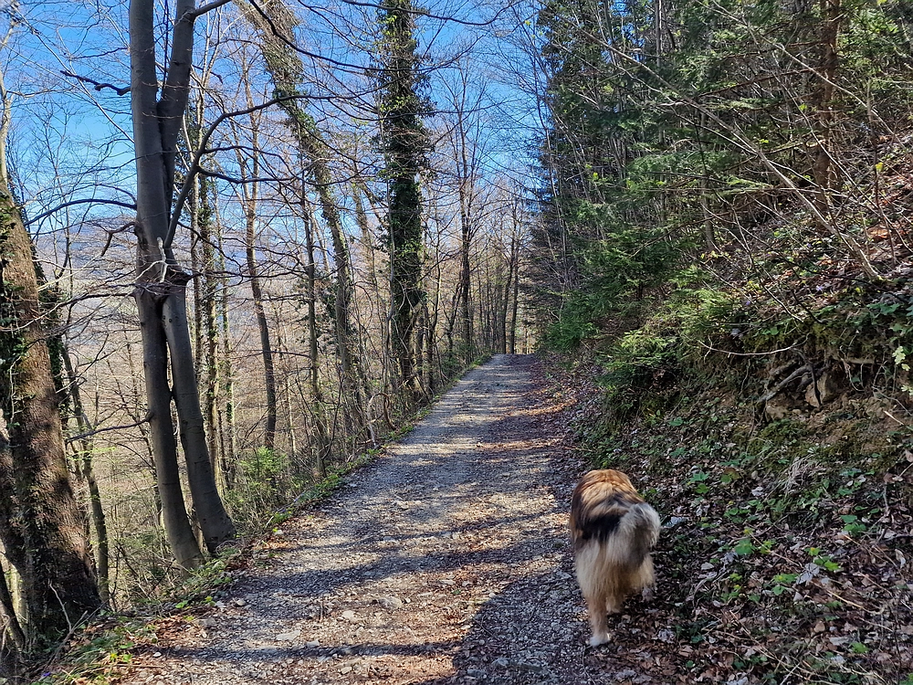 Tabor, 5. 4. 2026