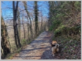 Slika_049.webp