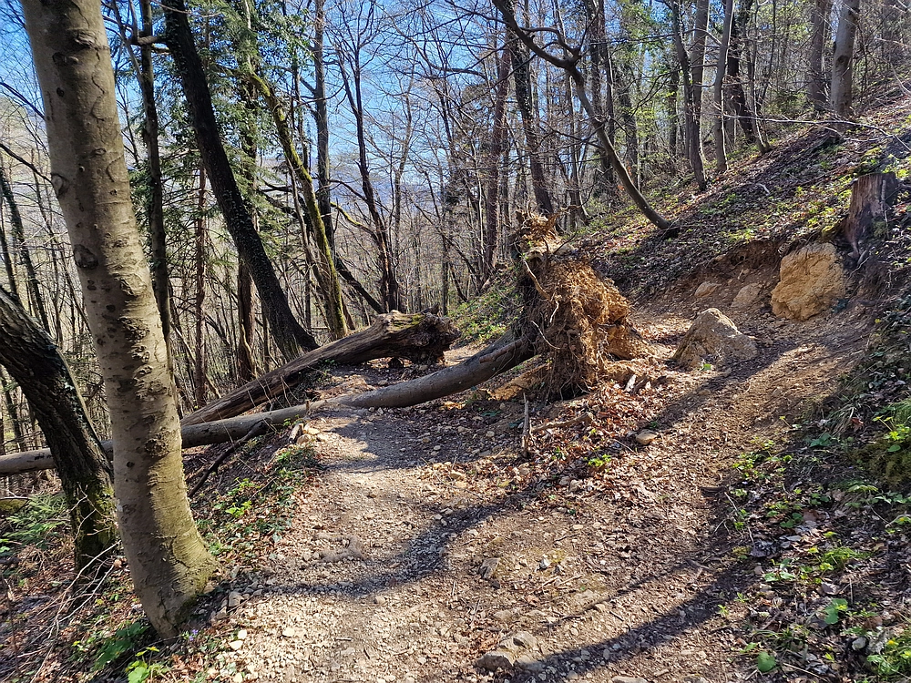Tabor, 5. 4. 2026