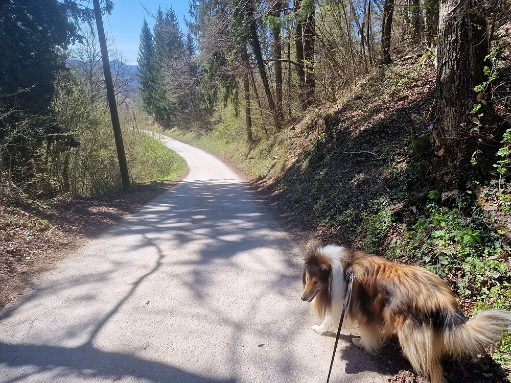 Tabor, 5. 4. 2026