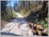 Slika_053.webp