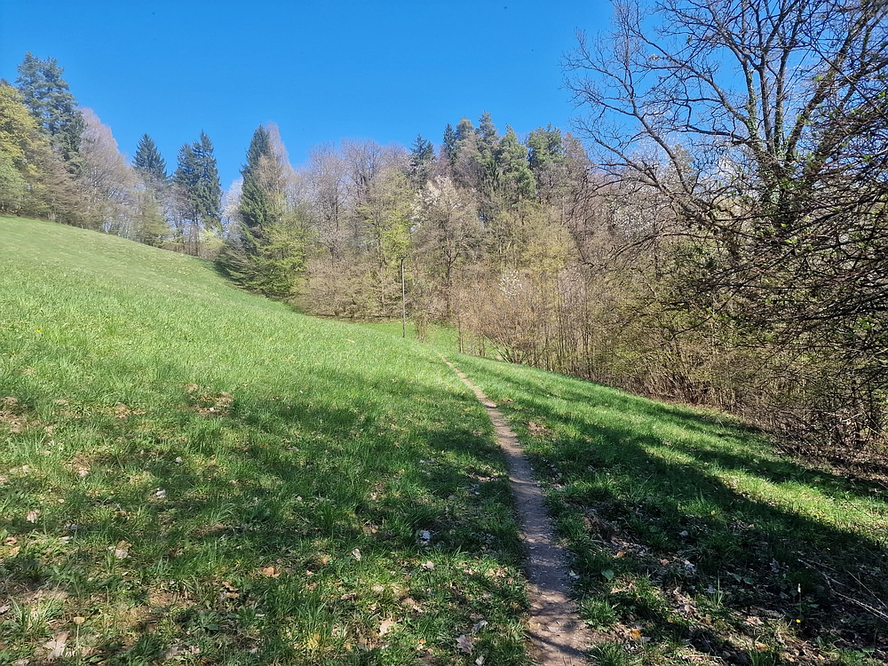 Tabor, 5. 4. 2026
