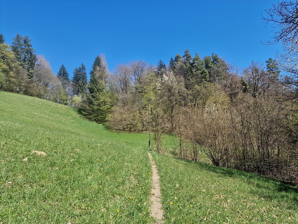 Tabor, 5. 4. 2026