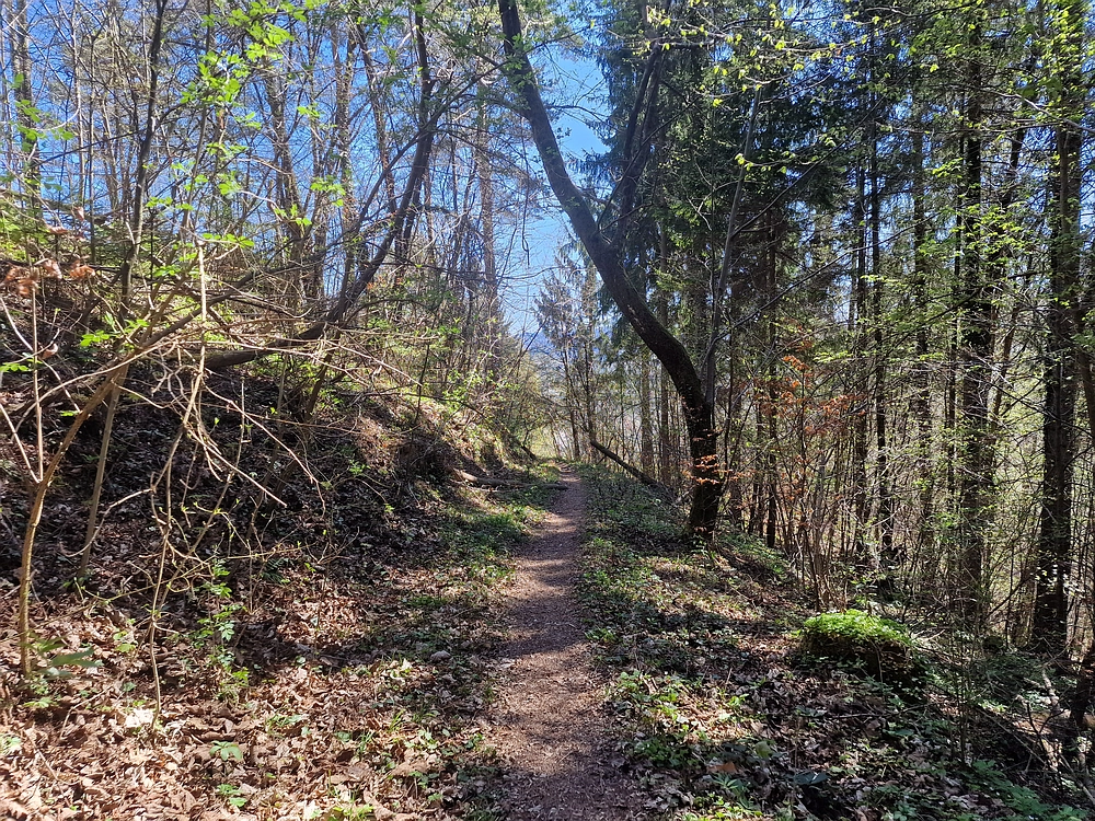 Tabor, 5. 4. 2026