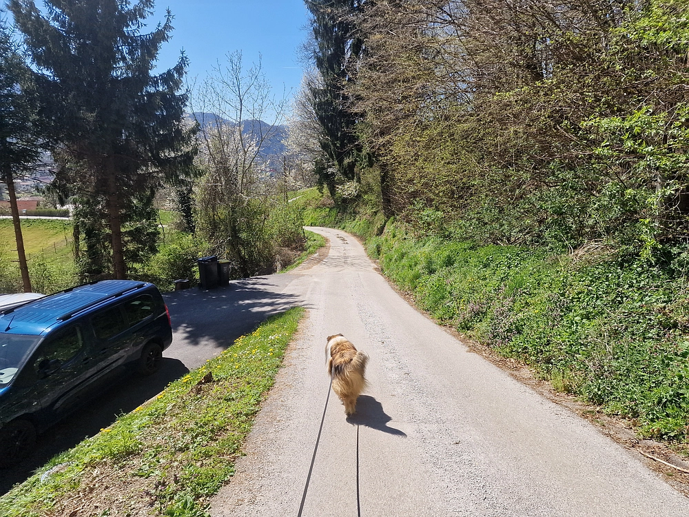 Tabor, 5. 4. 2026