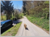 Slika_060.webp