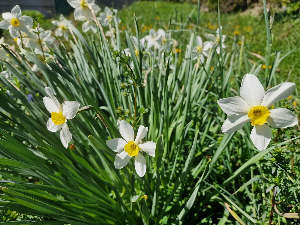 Tabor, 5. 4. 2026