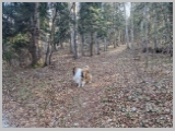 Slika_003.webp