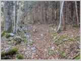 Slika_004.webp