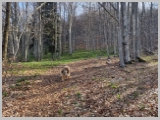 Slika_006.webp