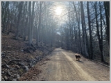 Slika_007.webp