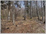 Slika_009.webp