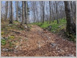 Slika_010.webp