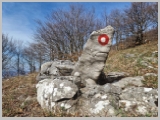 Slika_012.webp