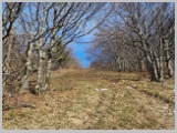 Slika_013.webp