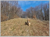 Slika_016.webp