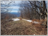 Slika_020.webp