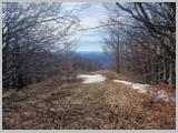 Slika_023.webp