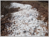 Slika_024.webp