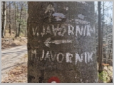 Slika_033.webp