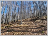 Slika_036.webp