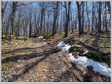 Slika_040.webp