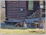Slika_047.webp