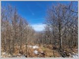 Slika_061.webp