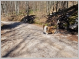 Slika_065.webp