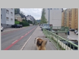 Slika_001.webp
