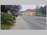 Slika_003.webp